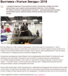 Kuda Moscow о выставке Усатые Звёзды-XXI