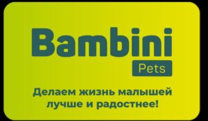 Bambini Pets